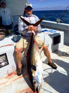 catch Yellowfin Tuna